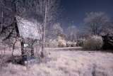 AI-_DSC2348