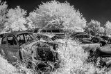 _DSC1937