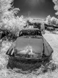 _DSC1949