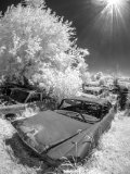 _DSC1952