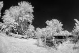 _DSC1958