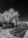 _DSC1962