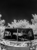 _DSC1974