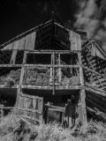 _DSC2233AI-standard-scale-1_01x