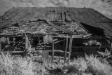 _DSC2264AI-standard-scale-1_01x