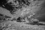 _DSC2365AI-standard-scale-1_01x