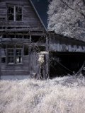 AI-_DSC2107