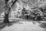 AI-_DSC8970