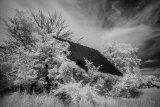 AI-_DSC8989