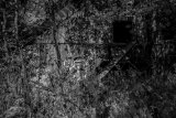 3AI-lines-scale-1_01x
