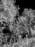 7AI-lines-scale-1_01x
